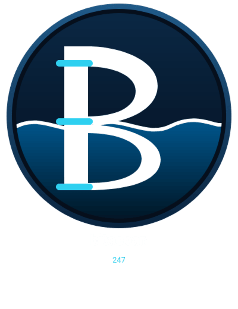 Bit Ocean 247